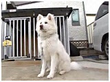 NbL[ 傤̂ ʐ^2
