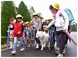 NbL[ 傤̂ ʐ^3