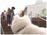 NbL[ 傤̂ ʐ^4
