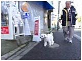 P 傤̂ ʐ^3
