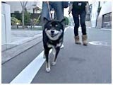 䂫 傤̂ ʐ^2