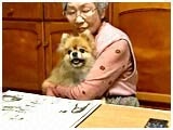 Y 傤̂ ʐ^2