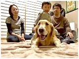 T^ 傤̂ ʐ^5