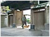 g~[ 傤̂ ʐ^4