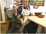 Qoo 傤̂ ʐ^5