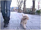 ݂ 傤̂ ʐ^2