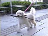 ݂ 傤̂ ʐ^5