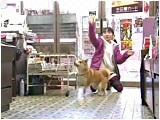 q 傤̂ ʐ^5