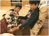 WFbg 傤̂ ʐ^3