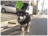 ko 傤̂ ʐ^2