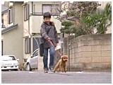 bnbn 傤̂ ʐ^5