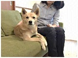 VVA 傤̂ ʐ^2