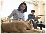 VVA 傤̂ ʐ^4
