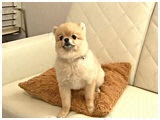 Boo 傤̂ ʐ^2