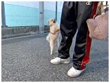 Boo 傤̂ ʐ^3