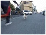 Boo 傤̂ ʐ^4