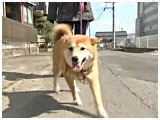  傤̂ ʐ^2