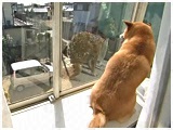  傤̂ ʐ^5