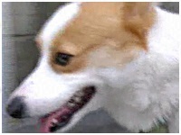 I 傤̂ ʐ^1