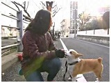 I 傤̂ ʐ^5
