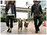 }JC 傤̂ ʐ^5