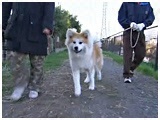  傤̂ ʐ^2