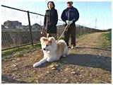  傤̂ ʐ^3