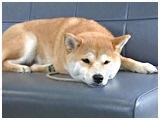  傤̂ ʐ^2