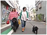 ni 傤̂ ʐ^5
