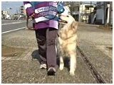 䂫 傤̂ ʐ^2