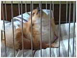 e 傤̂ ʐ^3