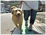 TuE 傤̂ ʐ^2