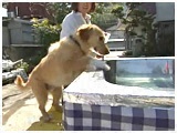 TuE 傤̂ ʐ^3