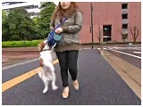 ni 傤̂ ʐ^3