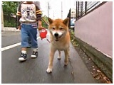 Y 傤̂ ʐ^2