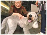 A[X 傤̂ ʐ^3