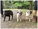 A_ 傤̂ ʐ^2