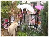 VIVI 傤̂ ʐ^3