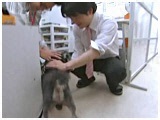 nEU[ 傤̂ ʐ^3