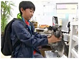 nEU[ 傤̂ ʐ^4