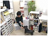 nEU[ 傤̂ ʐ^5