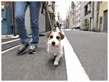 `bs[ 傤̂ ʐ^2