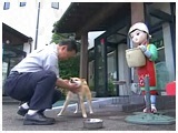  傤̂ ʐ^4