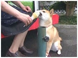  傤̂ ʐ^5