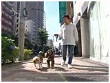 }C 傤̂ ʐ^3