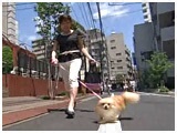 ݂邭 傤̂ ʐ^2