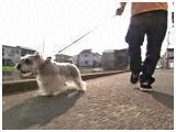 NbL[ 傤̂ ʐ^2