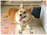  傤̂ ʐ^2