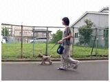 傱 傤̂ ʐ^5