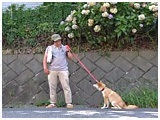  傤̂ ʐ^3